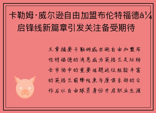 卡勒姆·威尔逊自由加盟布伦特福德开启锋线新篇章引发关注备受期待